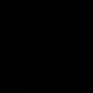 Meet your Posher, Shae